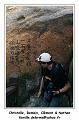 IMG_20161226_153537_RD