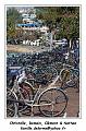 IMG_2606_RD