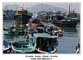 IMG_2610_RD