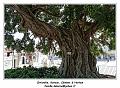 IMG_2635_RD