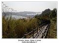 IMG_2651_RD