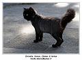 IMG_2652_RD