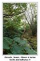IMG_2695_RD