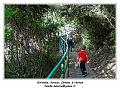 IMG_2696_RD