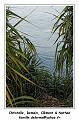 IMG_2710_RD