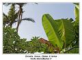 IMG_2714_RD