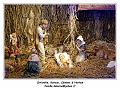 IMG_2929_RD