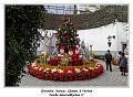 IMG_2930_RD