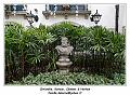IMG_2934_RD