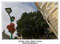 IMG_2949_RD