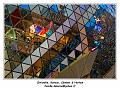IMG_3117_RD