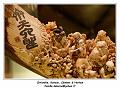 IMG_3126_RD