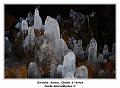 IMG_8953_RD