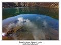 IMG_8988_RD