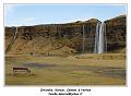 IMG_8993_RD
