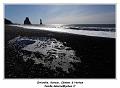 IMG_9051_RD