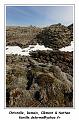 IMG_9057_RD