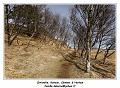 IMG_9060_RD