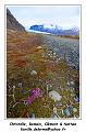 IMG_9074_RD