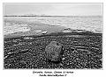 IMG_9084_RD