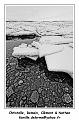 IMG_9093_RD