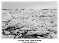 IMG_9098_RD