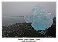 IMG_9107_RD