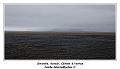 IMG_9141_RD