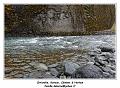 IMG_9150_RD