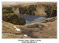 IMG_9152_RD