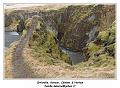 IMG_9155_RD