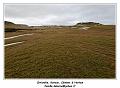 IMG_9166_RD
