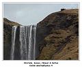 DSC06626_RD