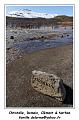 IMG_9193_RD