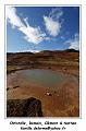 IMG_9228_RD
