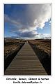 IMG_9351_RD