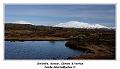 IMG_9365_RD