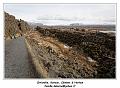 IMG_9376_RD