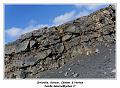 IMG_9728_RD