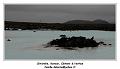 IMG_9843_RD