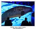 DSC06832_RD