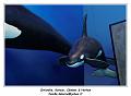 IMG_9851_RD