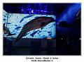 IMG_9857_RD