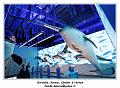 IMG_9861_RD