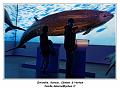 IMG_9864_RD