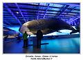 IMG_9876_RD
