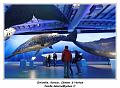 IMG_9877_RD