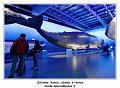 IMG_9878_RD