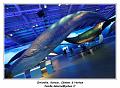 IMG_9889_RD