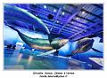 IMG_9890_RD